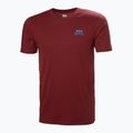 Vyriški marškinėliai Helly Hansen Nord Graphic mars red 4
