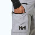 Vyriškos slidinėjimo kelnės Helly Hansen Garibaldi 2.0 grey/melange 4