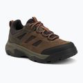 Vyriški žygio batai Helly Hansen Switchback Low 3 HellyTech cement/coffe bean
