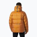 Vyriška pašiltinta striukė Helly Hansen Active Winter mustard 2