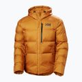 Vyriška pašiltinta striukė Helly Hansen Active Winter mustard 6