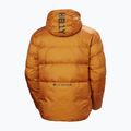 Vyriška pašiltinta striukė Helly Hansen Active Winter mustard 7