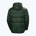 Vyriška pašiltinta striukė Helly Hansen Active Winter dark jungle 8
