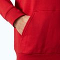 Vyriškas džemperis Helly Hansen HH Logo Hoodie red 4
