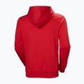 Vyriškas džemperis Helly Hansen HH Logo Hoodie red 6