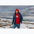 Vyriškas džemperis Helly Hansen HH Logo Hoodie red 7