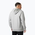 Vyriškas džemperis Helly Hansen HH Logo Hoodie grey/melange 2