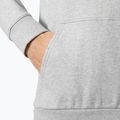 Vyriškas džemperis Helly Hansen HH Logo Hoodie grey/melange 4