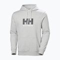 Vyriškas džemperis Helly Hansen HH Logo Hoodie grey/melange 5