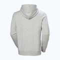 Vyriškas džemperis Helly Hansen HH Logo Hoodie grey/melange 6