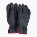 Vyrų slidinėjimo pirštinės Helly Hansen Aplha navy