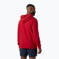 Vyriškas džemperis Helly Hansen Core Graphic Hoodie red 2