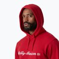 Vyriškas džemperis Helly Hansen Core Graphic Hoodie red 3