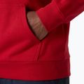 Vyriškas džemperis Helly Hansen Core Graphic Hoodie red 4