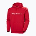 Vyriškas džemperis Helly Hansen Core Graphic Hoodie red 5