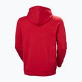 Vyriškas džemperis Helly Hansen Core Graphic Hoodie red 6