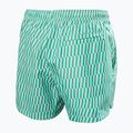 Vyriški buriavimo šortai Helly Hansen Newport Trunk 4.5" dark mint offset stripe ao 2