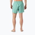 Vyriški buriavimo šortai Helly Hansen Newport Trunk 4.5" dark mint offset stripe ao 4