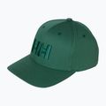 Kepurė su snapeliu Helly Hansen Brand opal green