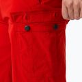 Vyriški buriavimo šortai Helly Hansen QD Cargo 11" red 4