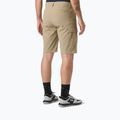 Vyriški buriavimo šortai Helly Hansen QD Cargo 11" pebble 2