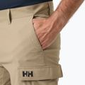Vyriški buriavimo šortai Helly Hansen QD Cargo 11" pebble 3