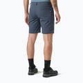 Vyriški žygio šortai Helly Hansen Holmen 5 Pocket alpine frost 2