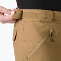 Vyriškos slidinėjimo kelnės Helly Hansen Sogn Cargo elmwood 3