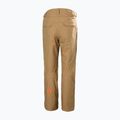Vyriškos slidinėjimo kelnės Helly Hansen Sogn Cargo elmwood 7
