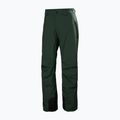 Vyriškos slidinėjimo kelnės Helly Hansen Legendary Insulated dark jungle