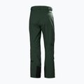 Vyriškos slidinėjimo kelnės Helly Hansen Legendary Insulated dark jungle 2
