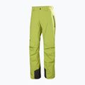 Vyriškos slidinėjimo kelnės Helly Hansen Legendary Insulated pulse green