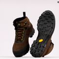 Vyriški trekingo batai Tecnica Plasma MID GTX brown TE11249100003 10