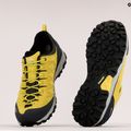 Vyriški žygio batai Meindl Mondello GTX yellow 5522/85 9
