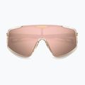 Vyriški akiniai nuo saulės Carrera 4017/S crystal beige/rose gold multilayer 4