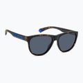 Akiniai nuo saulės Polaroid PLD 2156/S matte brown havana/blue polarized