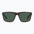 Vyriški akiniai nuo saulės Polaroid PLD 2157/S matte brown havana/green polarized 3