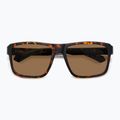 Vyriški akiniai nuo saulės Polaroid PLD 2158/S matte brown havana/bronze polarized 4