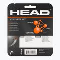 Teniso stygos HEAD Synthetic Gut 12 m white 2