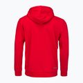 Vyriškas teniso džemperis HEAD Club Byron Hoodie red 2
