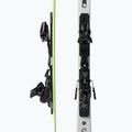 HEAD WC Rebels E-SL SW RP Evo 14 + Freeflex white 14 313200/100827 kalnų slidės 5