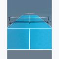 Pickleball tinklas HEAD Pickleball Net black/white 4