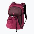 Slidinėjimo kuprinė HEAD Women's Boot Backpack 25 l plum 2