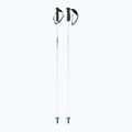 Slidžių lazdos HEAD Worldcup Rebels Carbon white