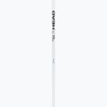 Slidžių lazdos HEAD Worldcup Rebels Carbon white 2