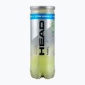 Padelio kamuoliukai HEAD Padel Pro+ 3 vnt. yellow 2