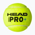 Padelio kamuoliukai HEAD Padel Pro+ 3 vnt. yellow 3