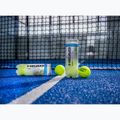 Padelio kamuoliukai HEAD Padel Pro+ 3 vnt. yellow 4