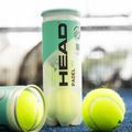 Padelio kamuoliukai HEAD Padel One S 3 vnt. yellow 2