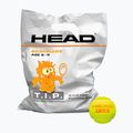 HEAD Tip Orange 72 oranžiniai ir žali teniso kamuoliukai vaikams 578270